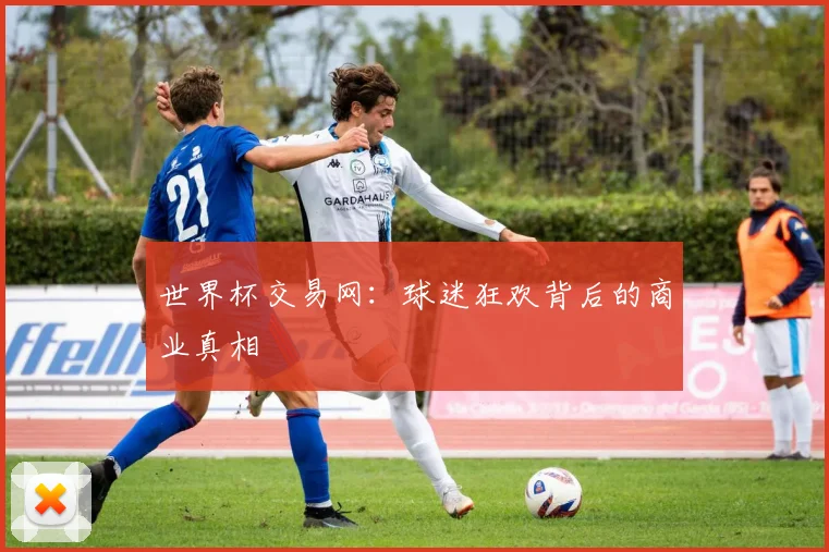 世界杯交易网:球迷狂欢背后的商业真相