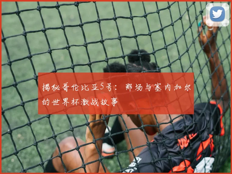 揭秘哥伦比亚5号：那场与塞内加尔的世界杯激战故事