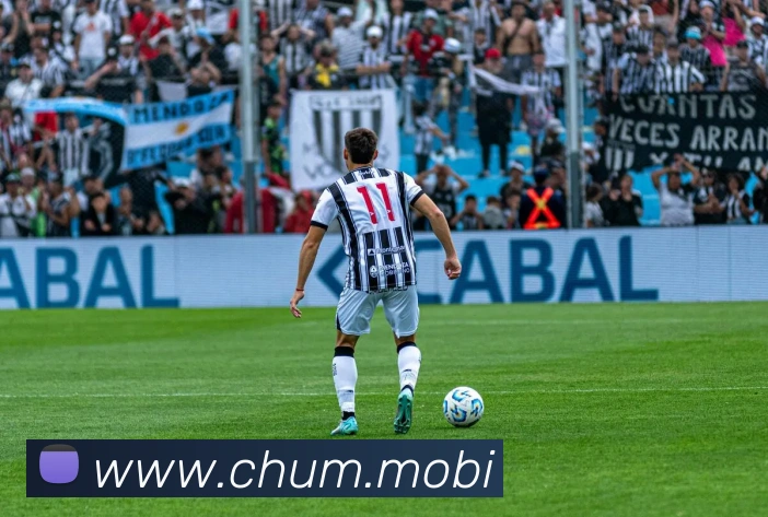 开云在线官方网站发展历程